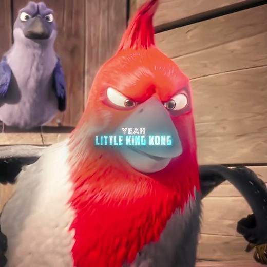 Birds Vs Monkeys | Rio Edit | Million Dollar Baby