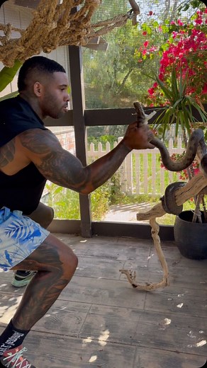 Mike Holston | Scrub python move from the front porch to reptile house 🐍 @youngla It’s always a good time to sharpen the sword and stay ready for a quick... | Instagram