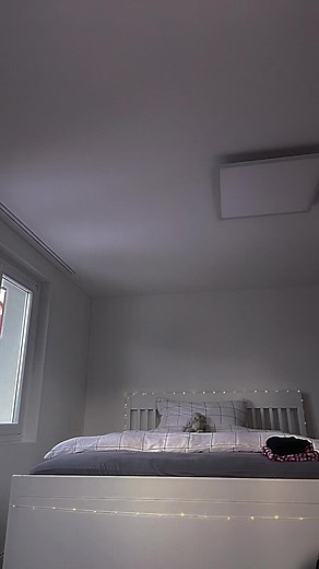 Originality vs Copycats: Dealing with Dragon Puppet Replicas