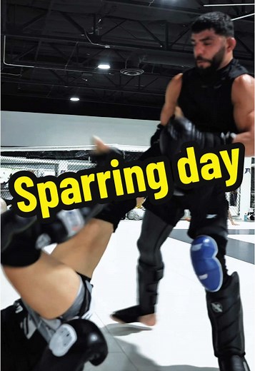 Sparring Day Highlights: Training Tips for Fighters