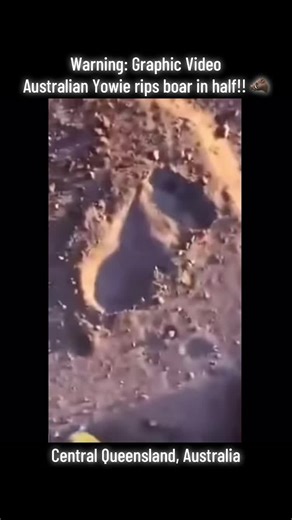 Dean Harrison has spent 25 years researching yowies — Australia’s version of Bigfoot — after a supposed personal interaction with the mysterious beast in South East Queensland. He received the footage from the source about two years ago. Mr. Harrison claims a source revealed the clip was taken by a crew working on the Adani Rail project in Central Queensland between the small mining towns of Glenden and Claremont. They reported finding drag marks off the access track and followed them for a few 