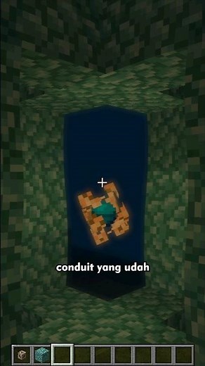 A Complete Explanation of Conduits in Minecraft