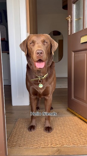 74K views · 6.8K reactions | Tour Guide Hector at your service  We...