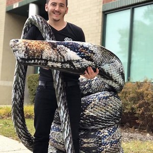 2.1K views · 39 reactions | Have you seen the Worlds Largest Snake Pillow yet?  | That Pillow Guy | Facebook