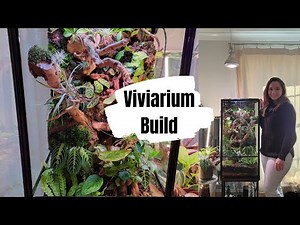 Dreamy Bioactive Vivarium/terrarium 💚 Build DIY with misting system and ventilation