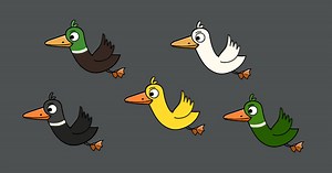 Cute Birds 2D - #2 Duck | 2D Characters | Unity Asset Store