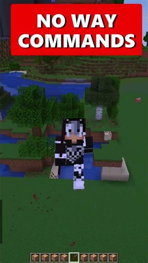 I Can’t Believe These Minecraft Commands Actually Work! #minecraft #shorts