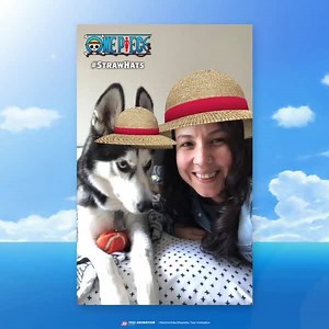 94K views · 257 reactions | Who’s ready for a One Piece Snapchat filter? WE ARE! Let’s see your nakama for Straw Hat Crew Day! https://funi.to/StrawHats | Funimation | Facebook