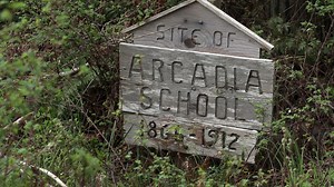 What if we told you the quiet forests and mossy clearings of Mason County once echoed with the sound of children learning—and even rowing boats just to get to class? In this feature, Explore Hood Canal visits the Mason County Historical Society Museum in downtown Shelton to explore “More Than a Building,” a powerful exhibit on the early schools of Mason County. Featuring insights from curator Liz Arbaugh, this video reveals how schools were the heart of tiny communities—from tribal lands to logg