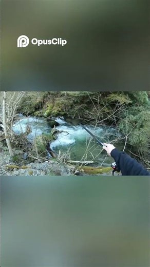 Un pêcheur attrape un poisson magnifique ! Incroyable prise