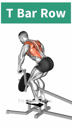 T Bar Row Exercise for a V-Taper Back