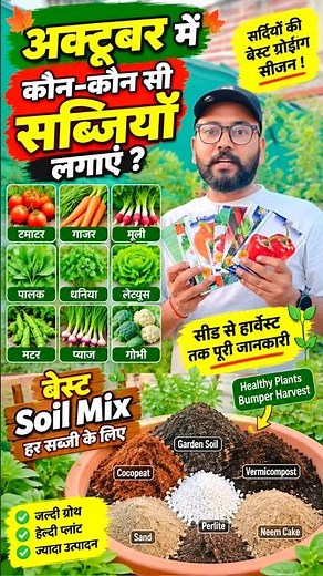 October Mein Kaun-Kaun Si Sabzi Lagayein? 🌱 | Best Vegetables & Soil Mix