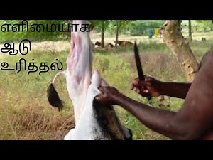 எளிமையாக ஆடு உரித்து | Full Goat Skin | Meat Cutting Skill | How to Remove Goat Skin | Goat Cleaning