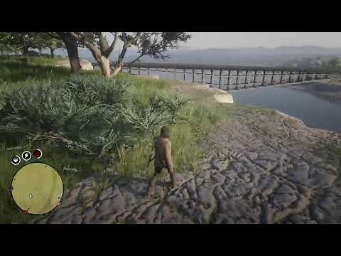 Bard's Crossing Treasure Map Location | Red Dead Redemption 2 Online