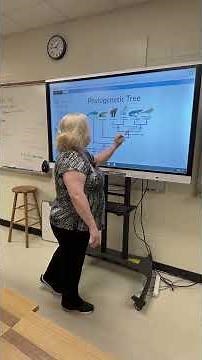 Educate: Amanda Mims' Lesson on Phylogenetic Trees