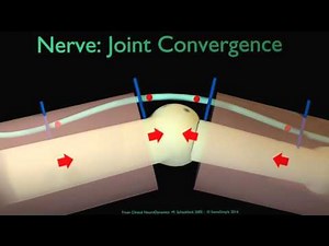 schacklock joint convergence