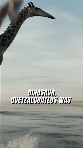 Why this isn't a dinosaur: The Quetzalcoatlus Mystery #pterosaur #shorts
