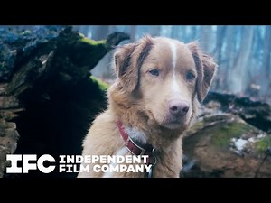 Good Boy | Tickets On Sale | IFC