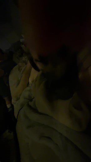 Ethan Smith (@ethan.smith6810)’s videos with original sound - TheCummyHemmy