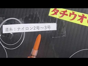 タチウオ・浮き釣り仕掛けのご説明。初心者さんでも簡単に釣れる太刀魚。秋は旬で美味しく、和歌山南紀地方では堤防から手軽に釣れます。