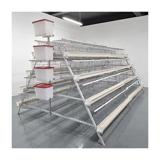 Hot-dip Galvanized Rust-proof Type Layer Hen Cage Automated Cage System for Chicken Poultry Farms TBB Brand Available Immediate