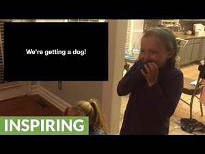 Kids have emotional response to new puppy surprise