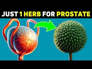 Just 1 HERB to Shrink an ENLARGED Prostate