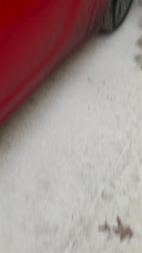 DNA Test | The Guy 50