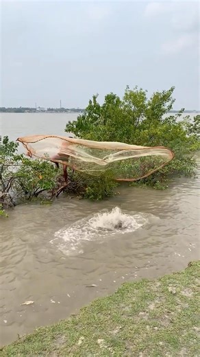 Catch a big catfish by castnat #fishing #reelsfypシ #riverside #explore #fypシ゚viral