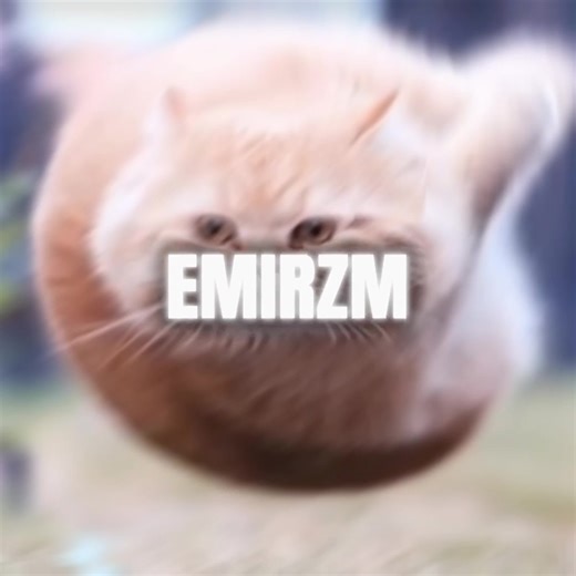 The Best Flying Spinning Cat Meme Edit