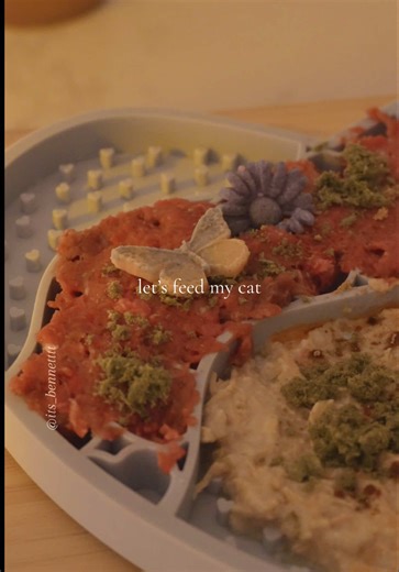 Feed My Cat a Lick Mat Dinner Experience