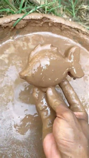 Cleaning a mino fish ASMR Sastisfying mud