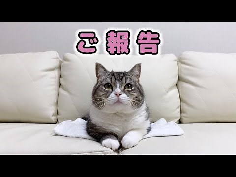 【ご報告】もち様の誕生日に一軒家をプレゼントします。