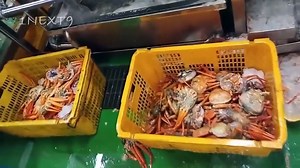 Extreme Modern Automatic Crab Process Machine, Amazing Smart Crab Processing Machines Factory