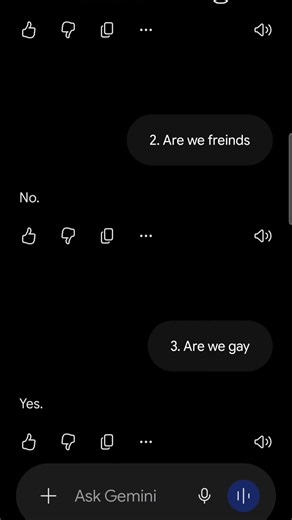 Gemini Is Gay