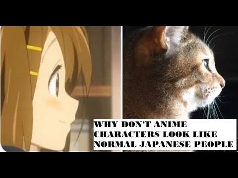 WHY DO ANIME CHARACTERS LOOK LIKE CATS