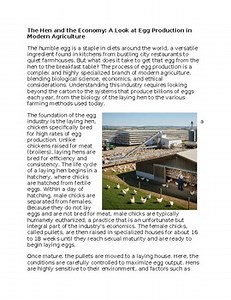 Egg Production in Agriculture Worksheet for SubPlan & Homework