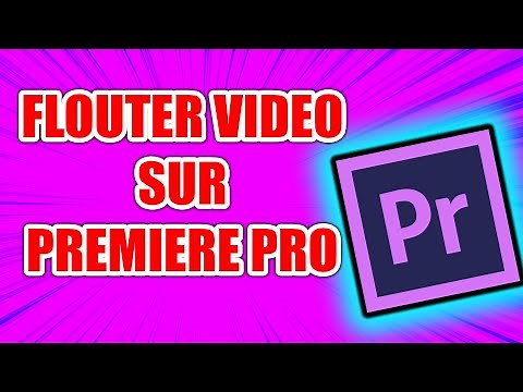 FLOUTER UNE ZONE DANS UN MONTAGE VIDÉO SUR PREMIERE PRO [TUTO PREMIERE PRO]