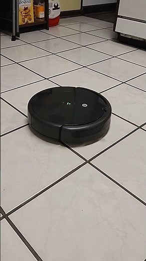 321 go (Roomba edition) #321go #roomba #roboticvacuum #shorts