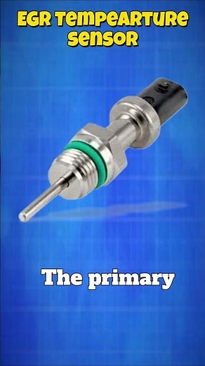 EGR Temperature Sensor