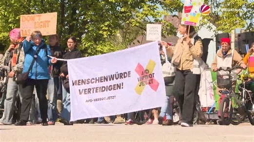 Fridays for Future: Hunderte demonstrieren gegen Pläne der Bundesregierung