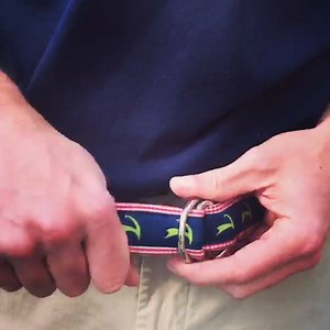 The Belts are Back in Town! (for a limited time online and Cape Abilities Farm) | Cape Cloth