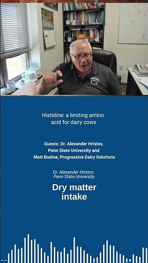 Histidine: a limiting amino acid for dairy cows