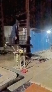 9.5K views · 301 reactions | Table vault training backward straight勞#Table#vault#training backward#straight | IGGP Gymnatic And Fitness | Facebook