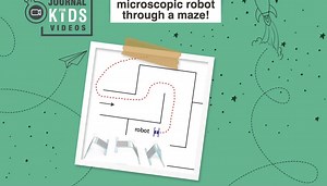 Microscopic robots wishing you a happy summer!
