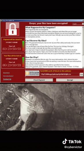 Softonic: Descargas Seguras y Confiables | Opiniones y Consejos