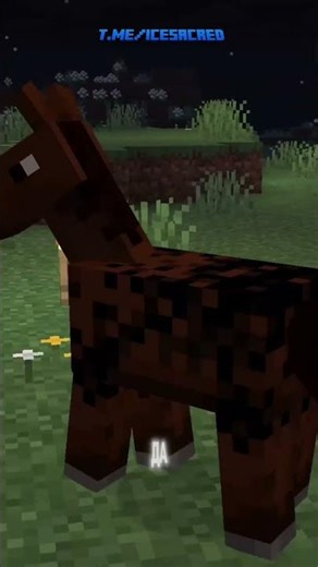 🐴 New Foals | Minecraft