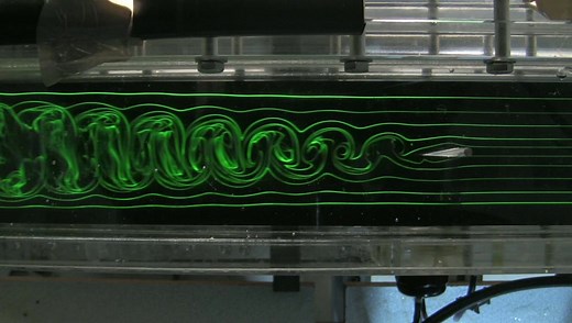 Wake of a flapping foil in a hydrodynamic tunnel
