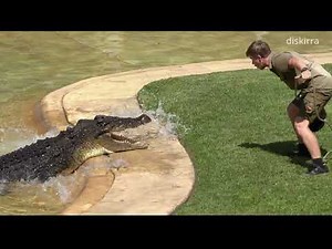 The Most Death Rolls EVER at Australia Zoo! Croc Show with Robert, Bindi and Terri Irwin
