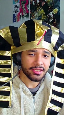 Screaming Chicken on a Tree Meme